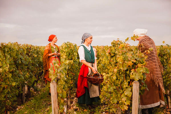 Reconstitution des vendanges historiques de 1720